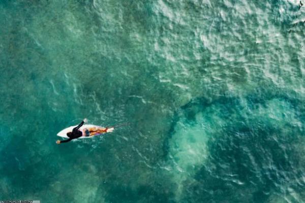 滨州市体育产业培训中心课程内容与报名
